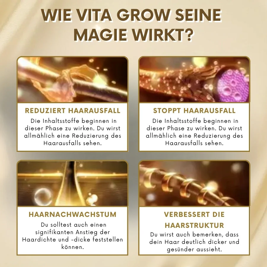 Vorschaubild 10