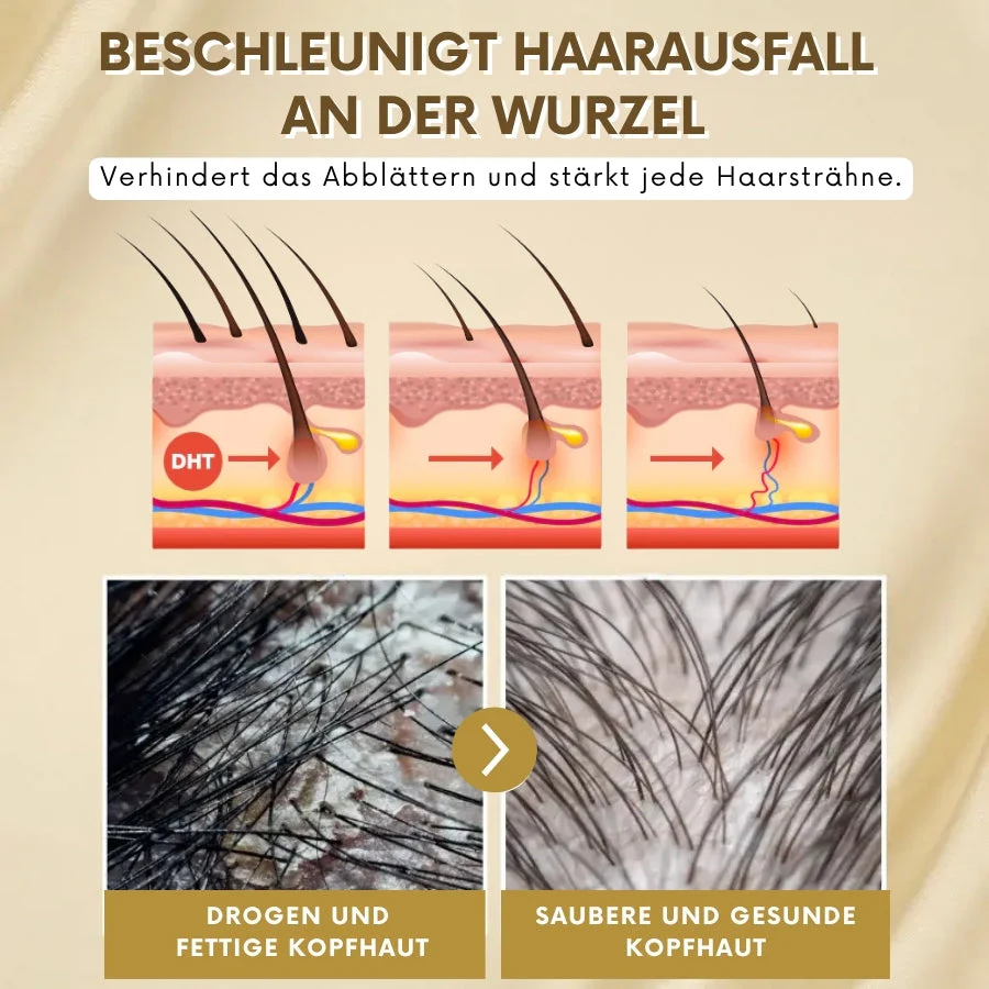 Vorschaubild 11